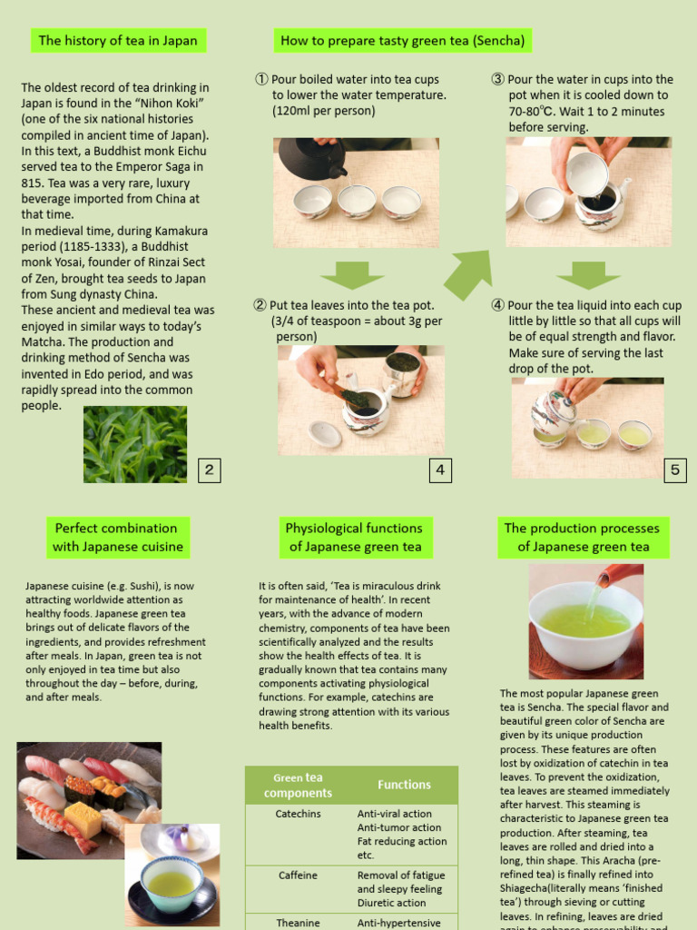 History and Benefits of Japanese Green Tea | PDF | Tea | Green Tea