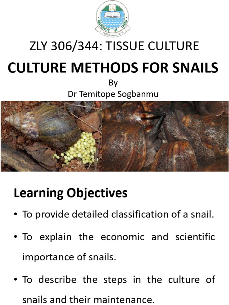 Snail Culture Methods and Importance | PDF | Molluscs