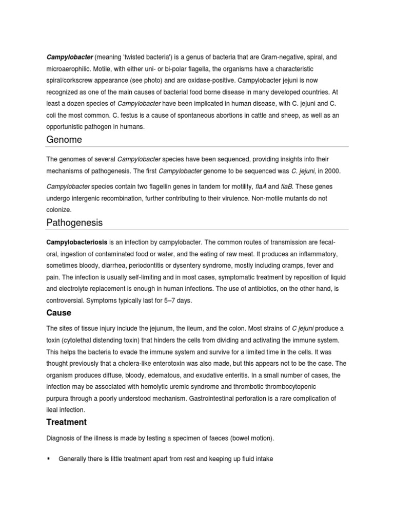 Genome Campylobacter (Meaning 'Twisted Bacteria') Is A Genus of Bacteria That Are GramNegative
