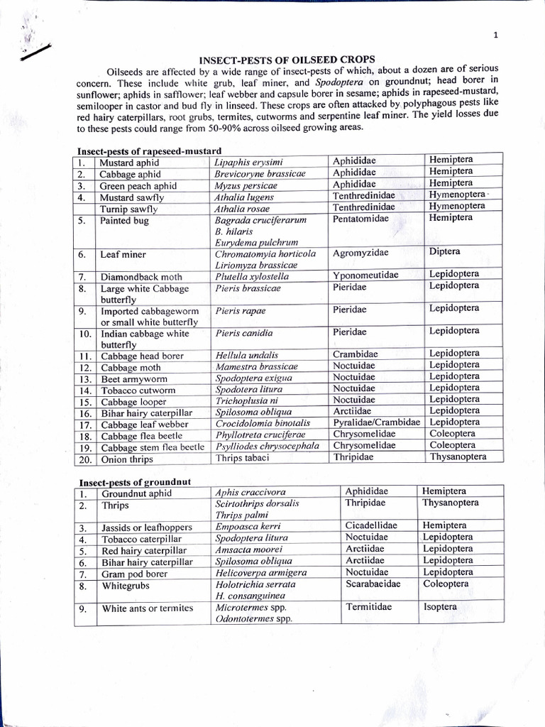 Insect Pests of Oilseed Crops Guide | PDF | Lepidoptera | Cabbage