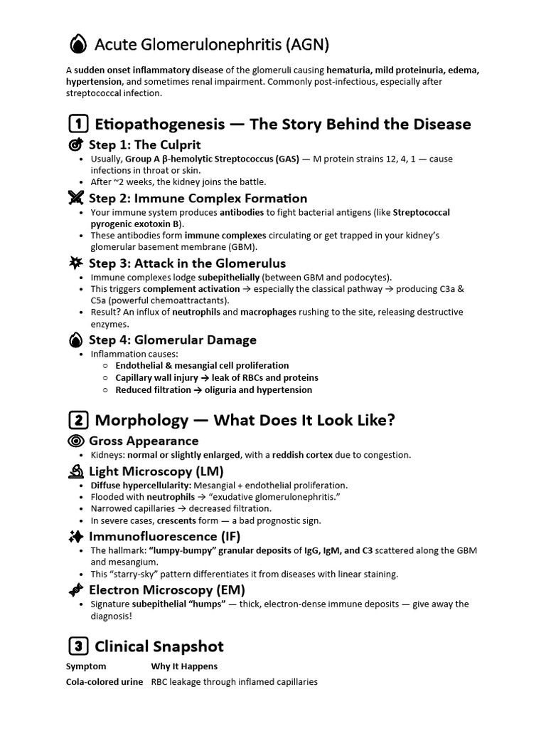 ? Acute Glomerulonephritis (AGN) | PDF | Medical Specialties | Immunology