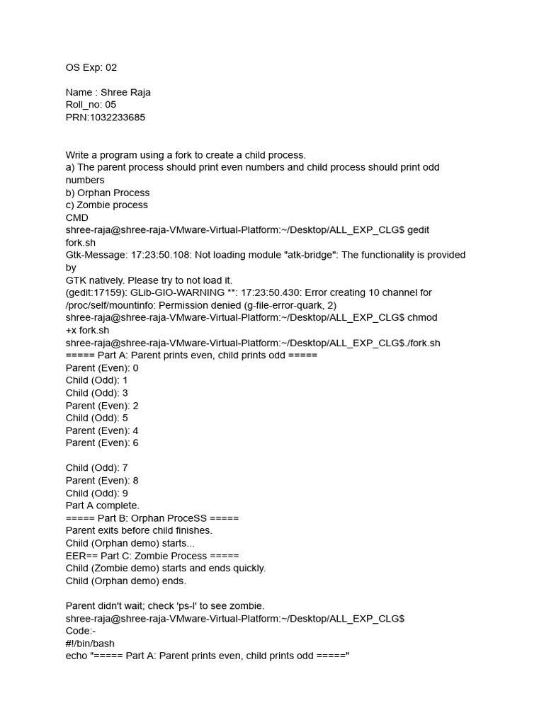 Os 2 | PDF