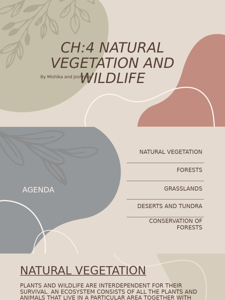 Natural Vegetation and Wildlife Overview | PDF | Forests | Rainforest