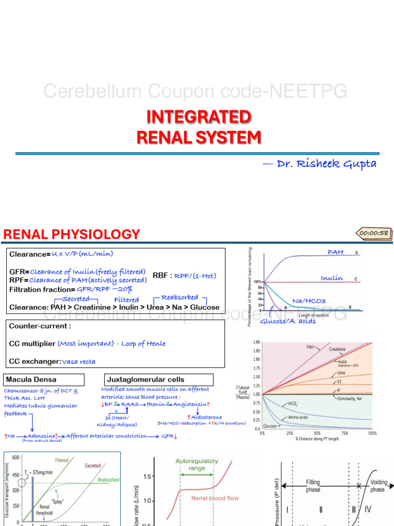 Comprehensive Guide to Renal Physiology | PDF | Internal Medicine ...