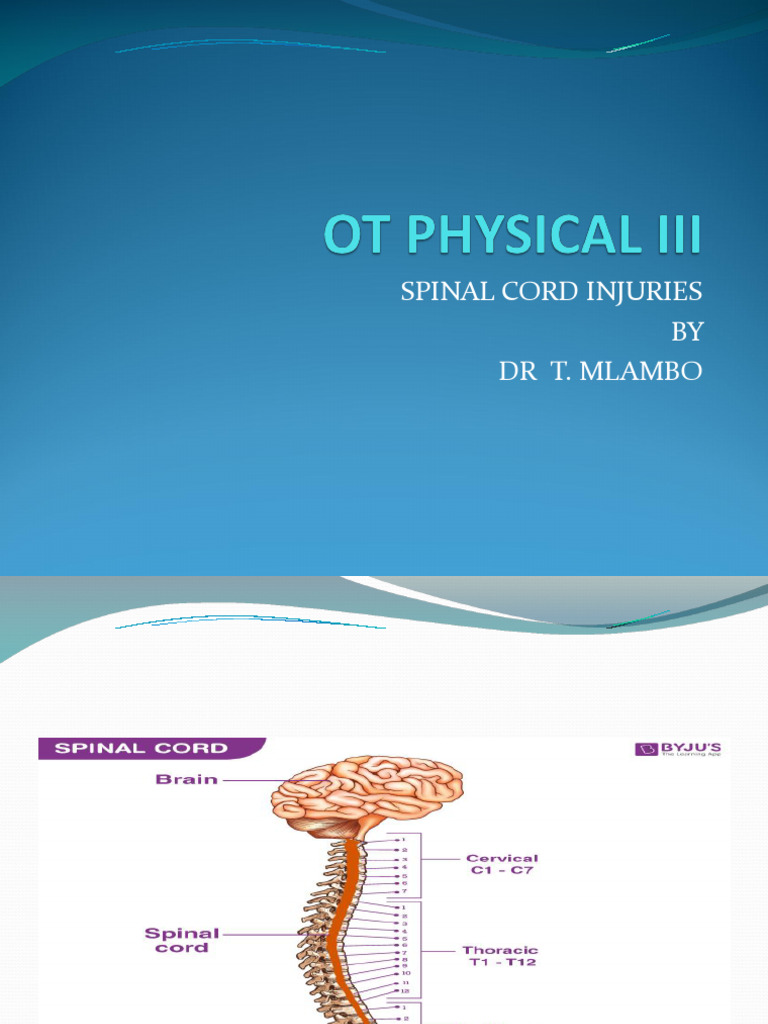 Understanding Spinal Cord Injuries | PDF | Vertebra | Spinal Cord