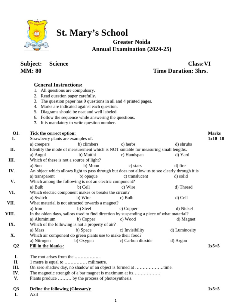 Class VI Science Exam Paper 2024-25 | PDF | Leaf | Photosynthesis