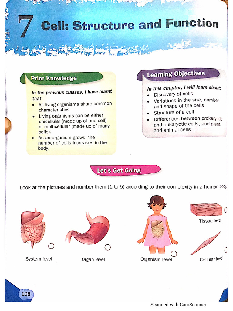 Cells - Structure and Functions | PDF