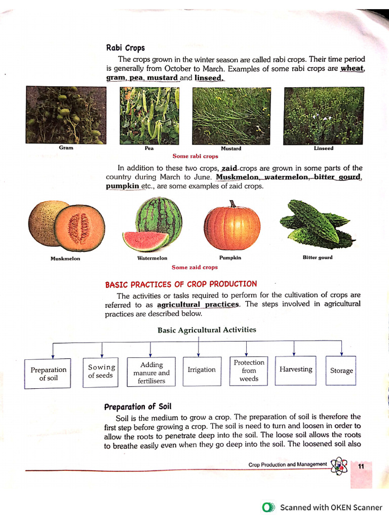 Class 8 - 3 | PDF