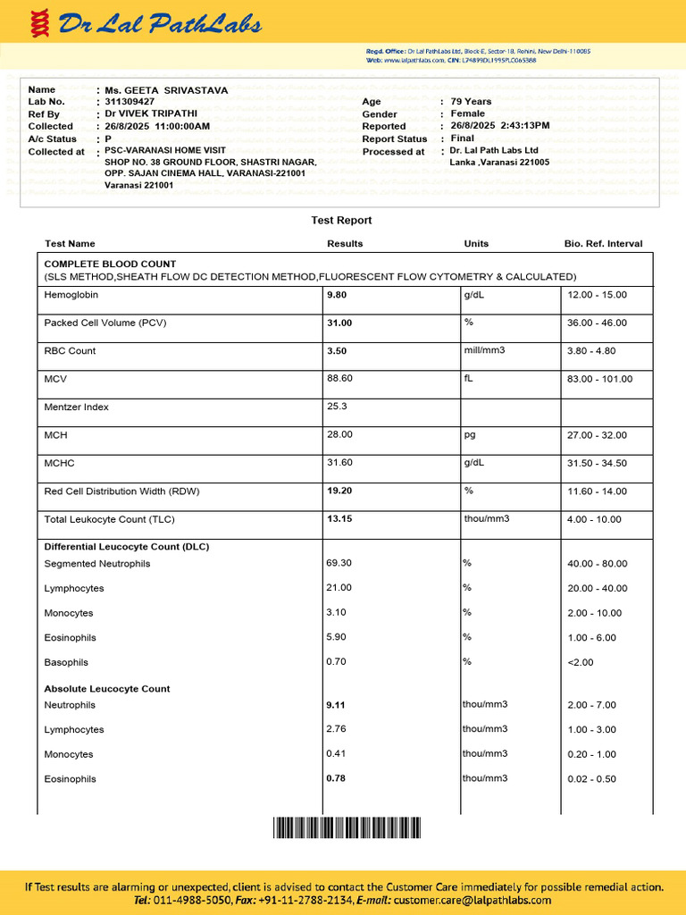 Rishabh 311309427 - Report - F2025-08-26T145500 | PDF | White Blood ...