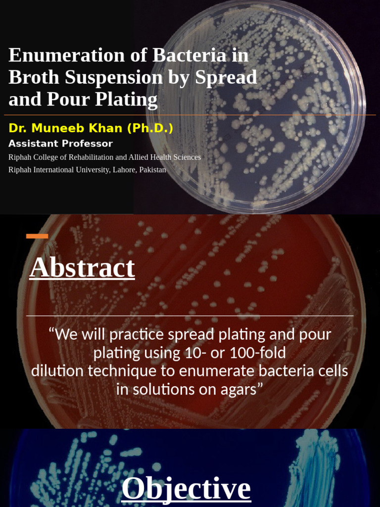 Bacterial Enumeration Techniques: Plating Methods | PDF | Colony ...