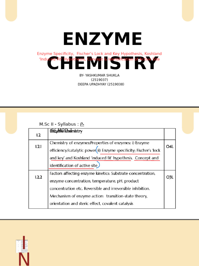 Enzyme Specificity and Active Sites Explained | PDF | Enzyme | Active Site