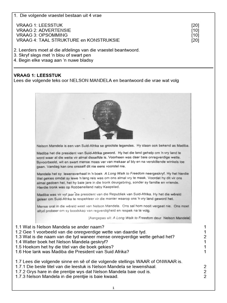 Term 3 Afr. Monthly Test 7 | PDF