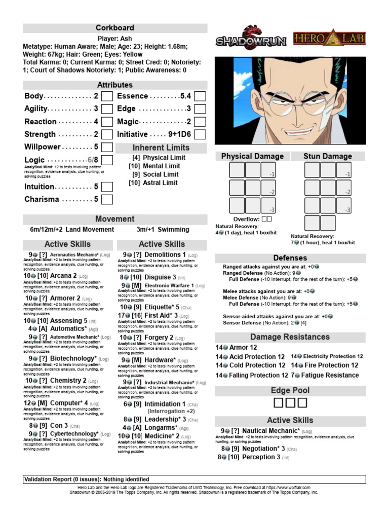 Shadowrun Character Sheet Overview | PDF