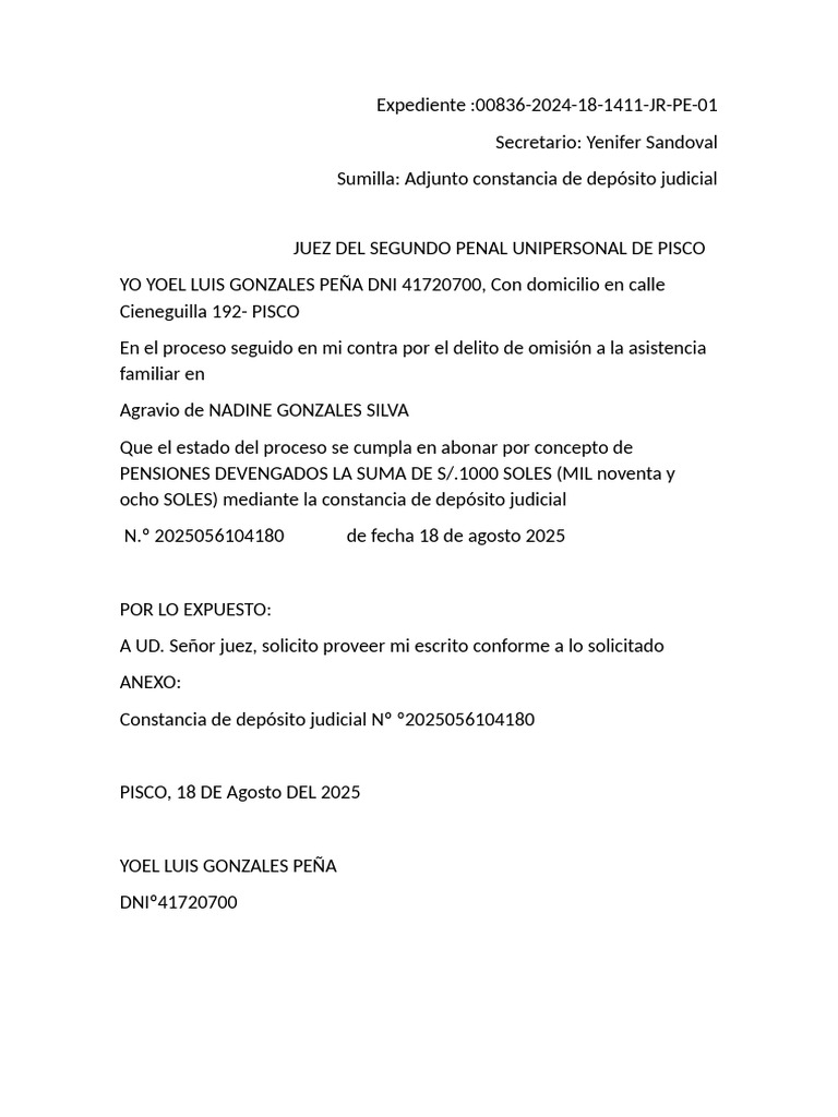Solicitud de Provisión Judicial en Pisco | PDF