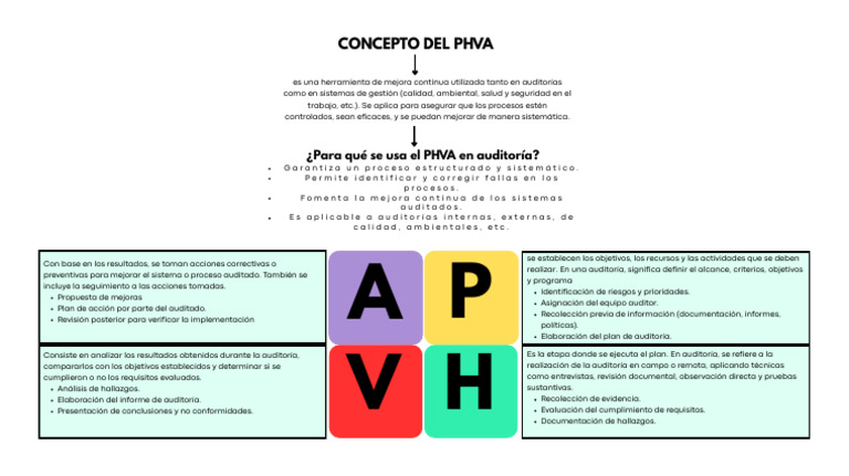 El Texto Del Párrafo | PDF | Auditoría
