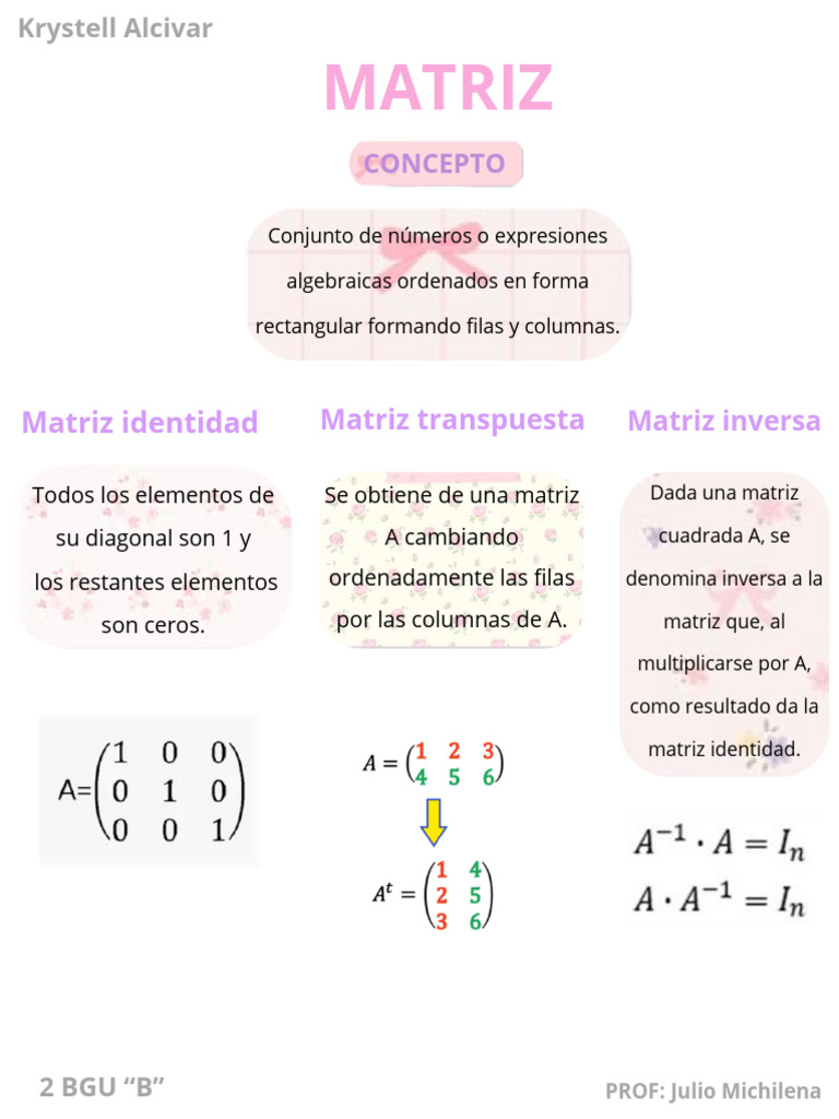 Matriz 20250827 100209 0000 | PDF