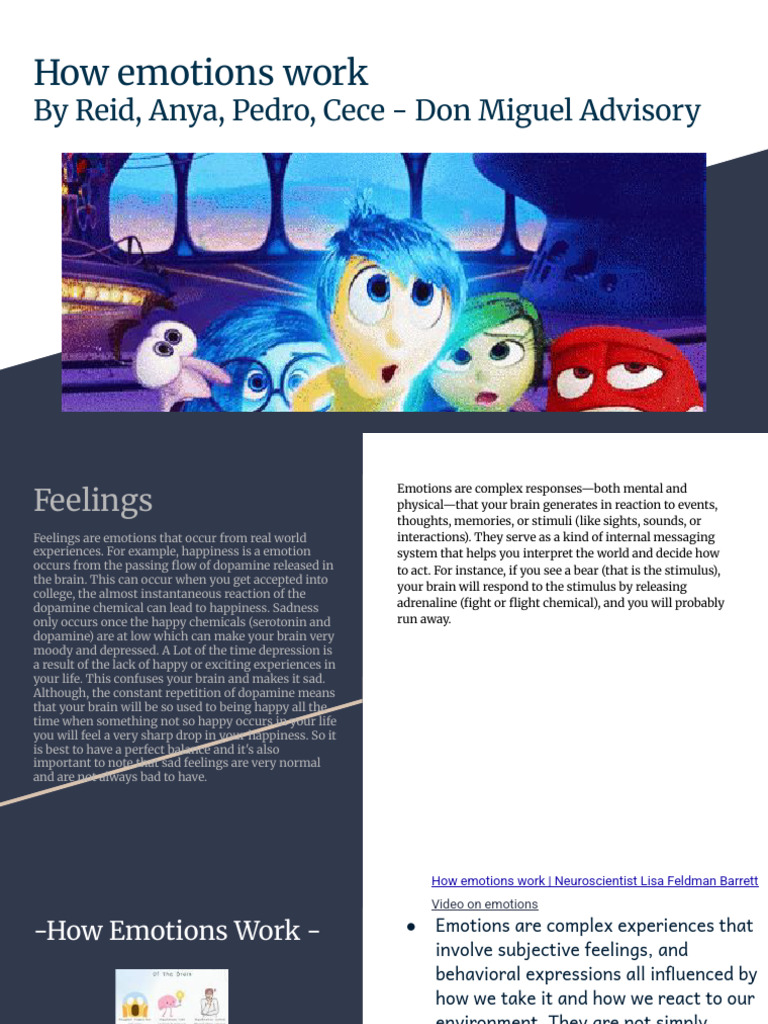 Understanding How Emotions Work | PDF | Emotions | Feeling