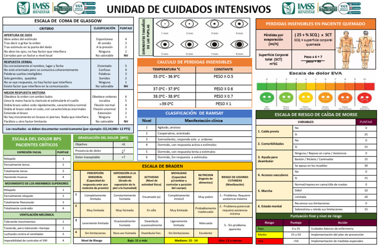 Escalas UCI Tabla 2025 PDF Especialidades Medicas Medicina CLINICA