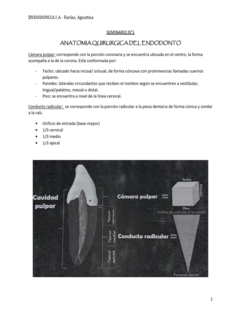 Endodoncia I A Folp | PDF