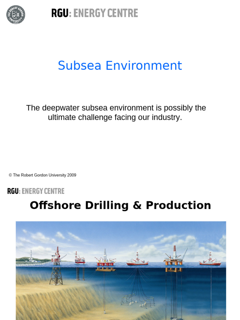 Challenges of the Deepwater Subsea Environment | PDF | Oil Well | Seabed