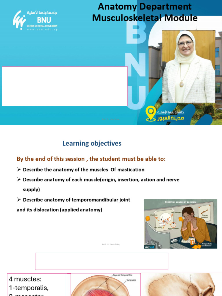L9 - Muscles of Mastications TMG | PDF | Human Head And Neck | Human ...