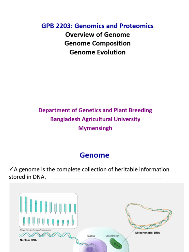Genomics and Proteomics Overview | PDF | Genome | Dna Sequencing