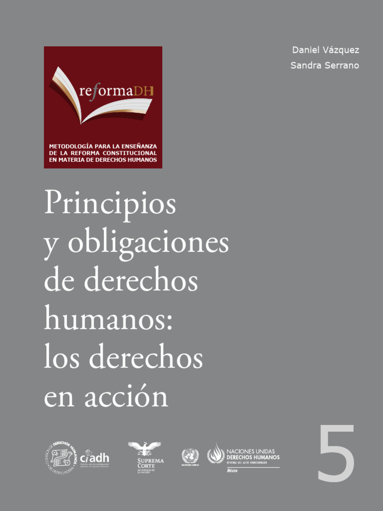 Principios y Obligaciones de Derechos Humanos: Los Derechos en Acción ...