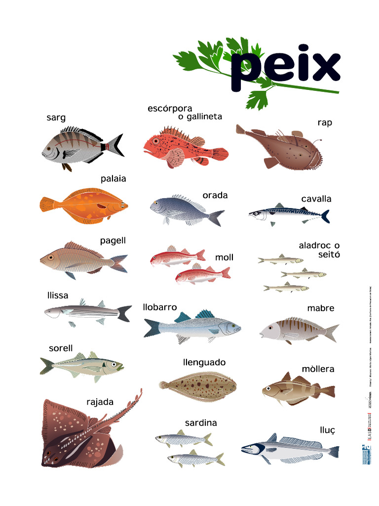 Peix | PDF
