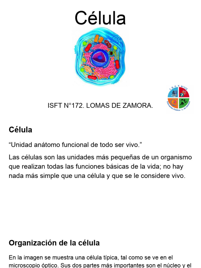 Estructura y Función de la Célula | PDF | Nucleo celular | Citoplasma