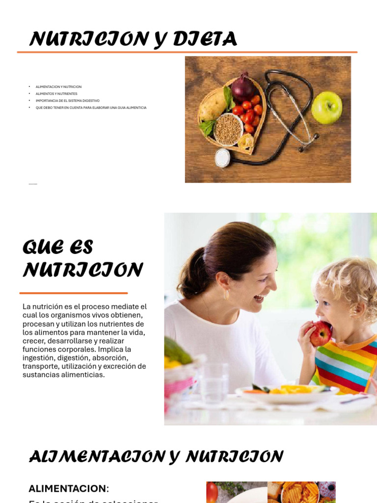 Guía Completa sobre Nutrición y Dieta | PDF | Nutrición | Dieta y nutrición