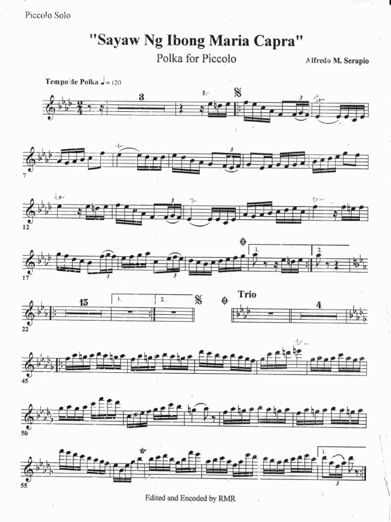 Piccolo Solo Sheet Music: Polka Edition | PDF