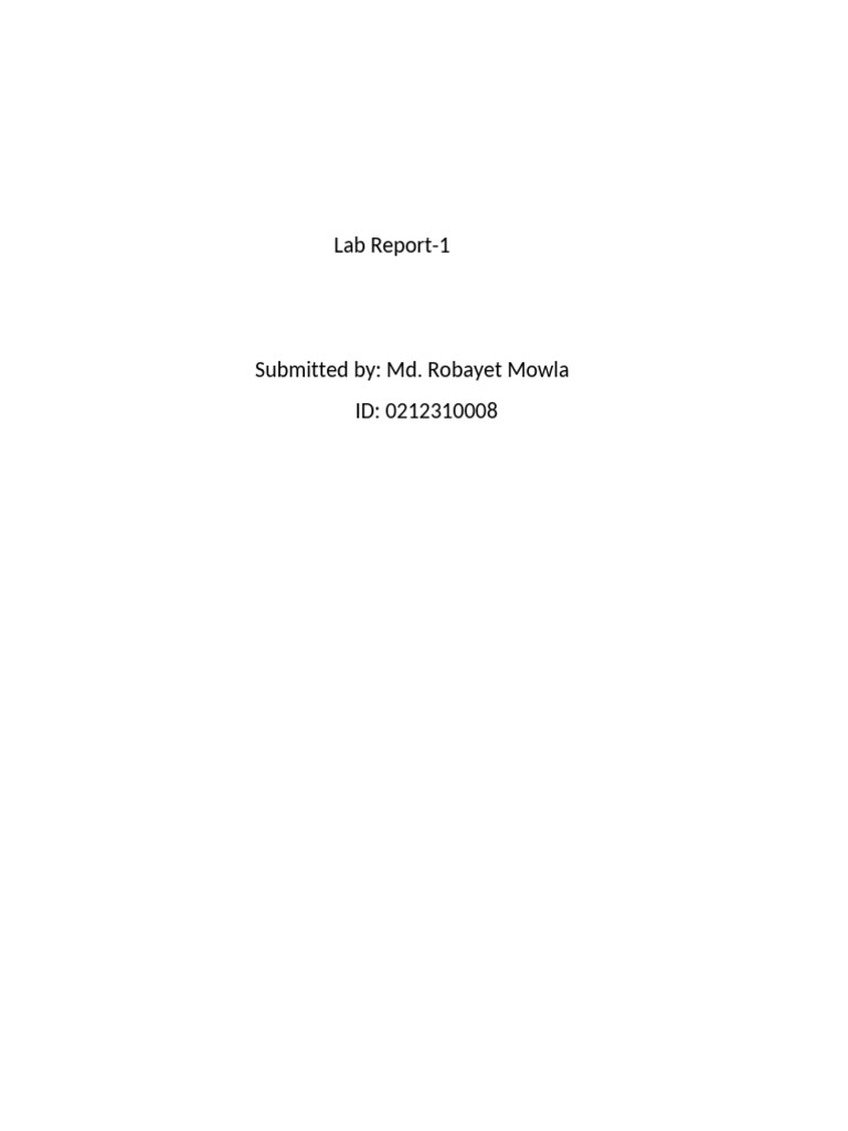 Lab Report 1 | PDF
