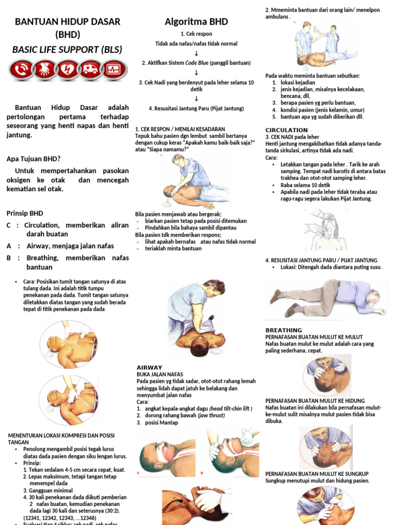 Panduan Bantuan Hidup Dasar (BHD) | PDF