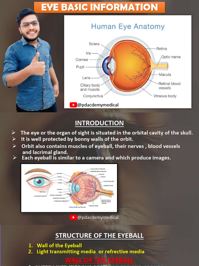 Basic Information of Eye | PDF | Human Eye | Cornea
