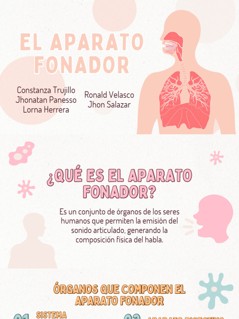 Funciones y Estructura del Aparato Fonador | PDF | Garganta Humana ...