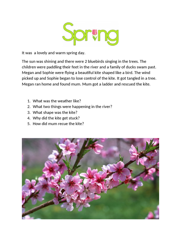 Children's Story Reading Comprehension | PDF