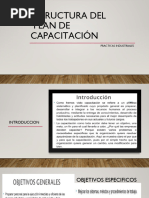 Estructura de un Plan de Capacitación | PDF | Evaluación | Aprendizaje