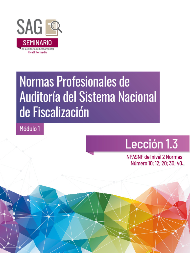 Normas de Auditoría Gubernamental SNF | PDF | Responsabilidad | Auditoría