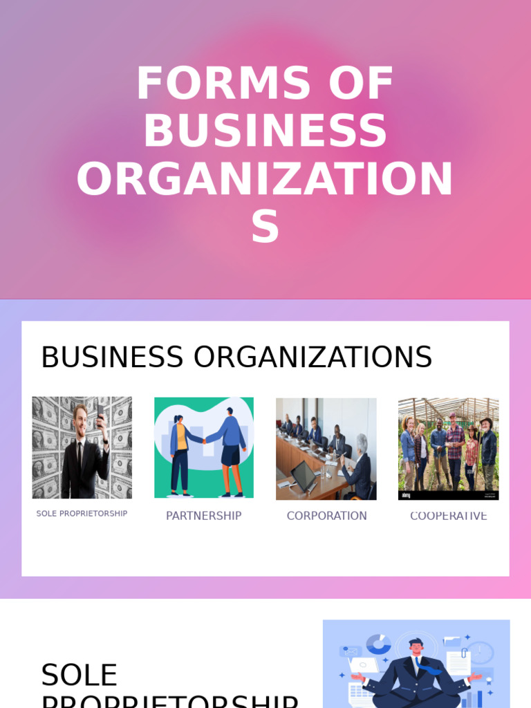 Types of Business Organizations Explained | PDF | Sole Proprietorship ...