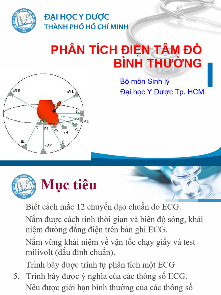 Ecg BMSL 2019 | PDF