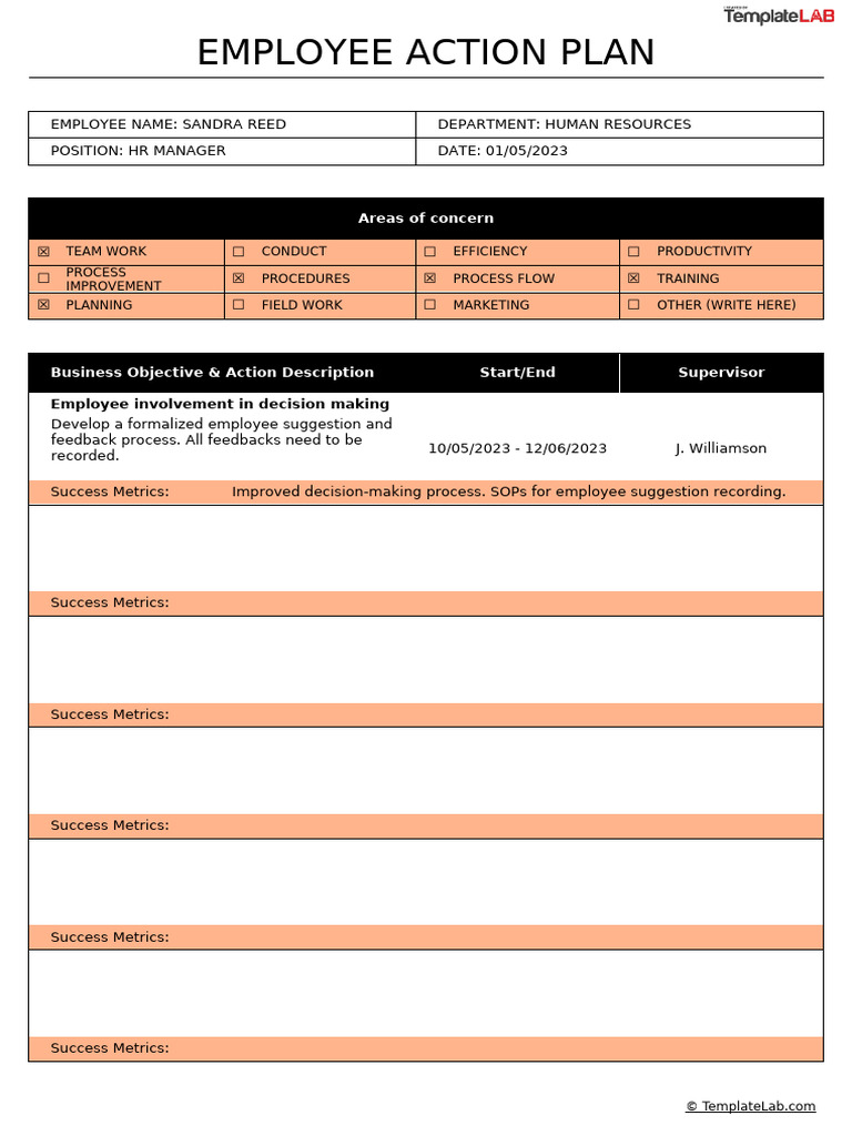 Employee Action Plan Template | PDF