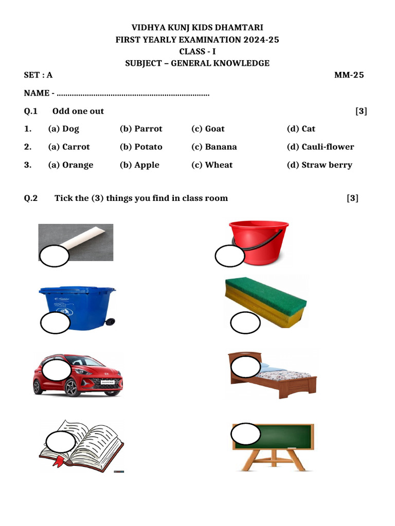 Class I General Knowledge Exam 2024-25 | PDF