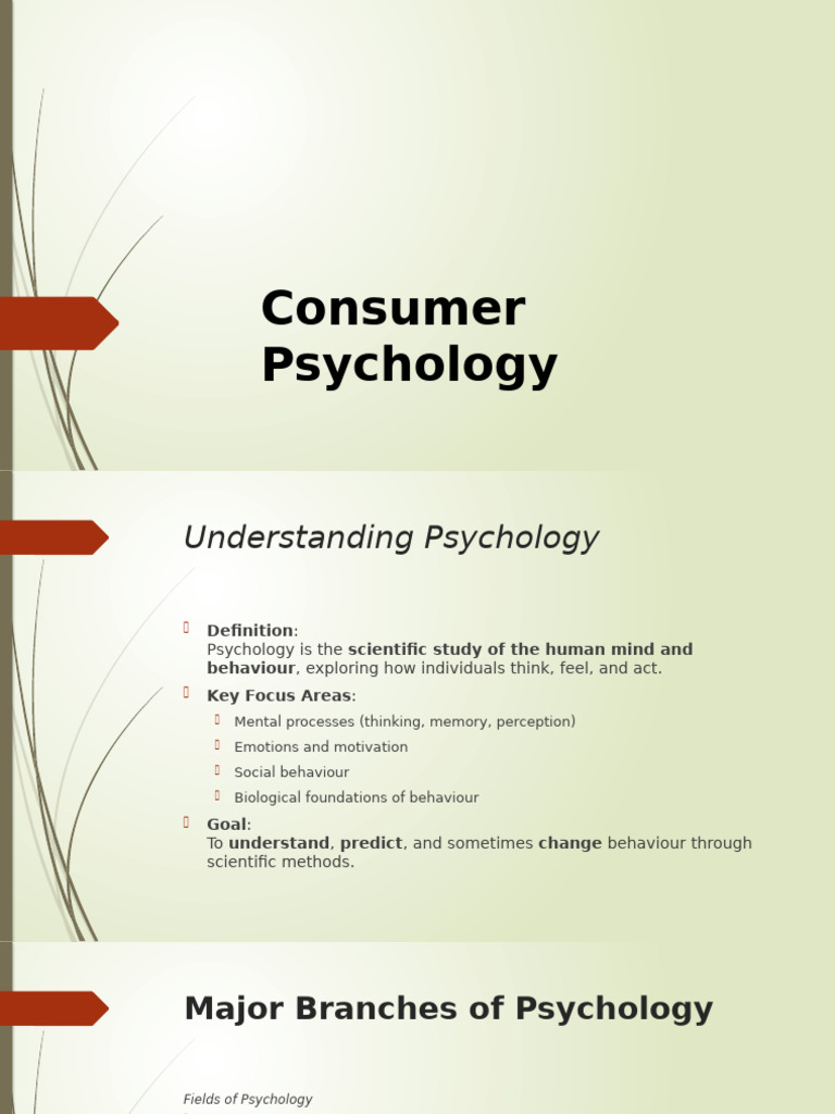 Understanding Consumer Psychology | PDF | Consumer Behaviour | Psychology