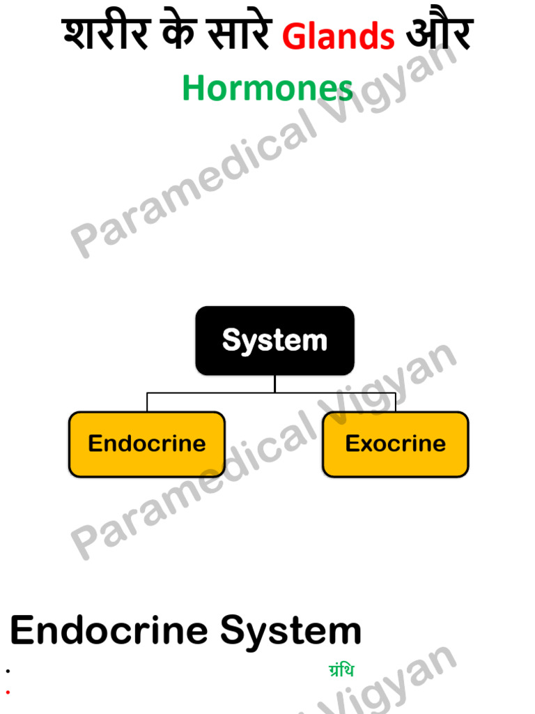 Endocrine and Exocrine System, All Body Glands and Hormones | PDF ...