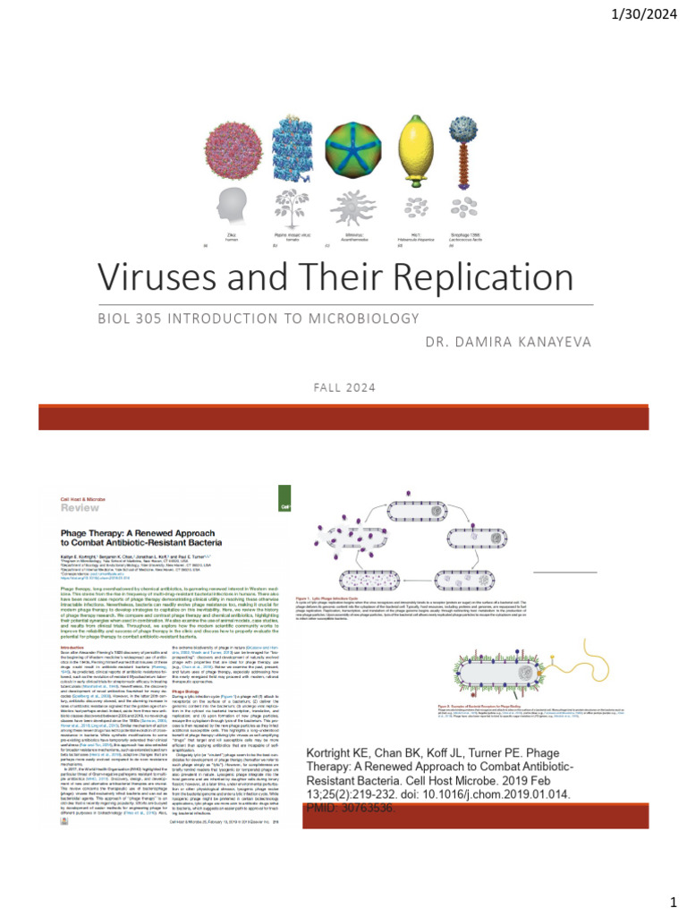 Understanding Virus Structure and Replication | PDF | Virus | Retrovirus