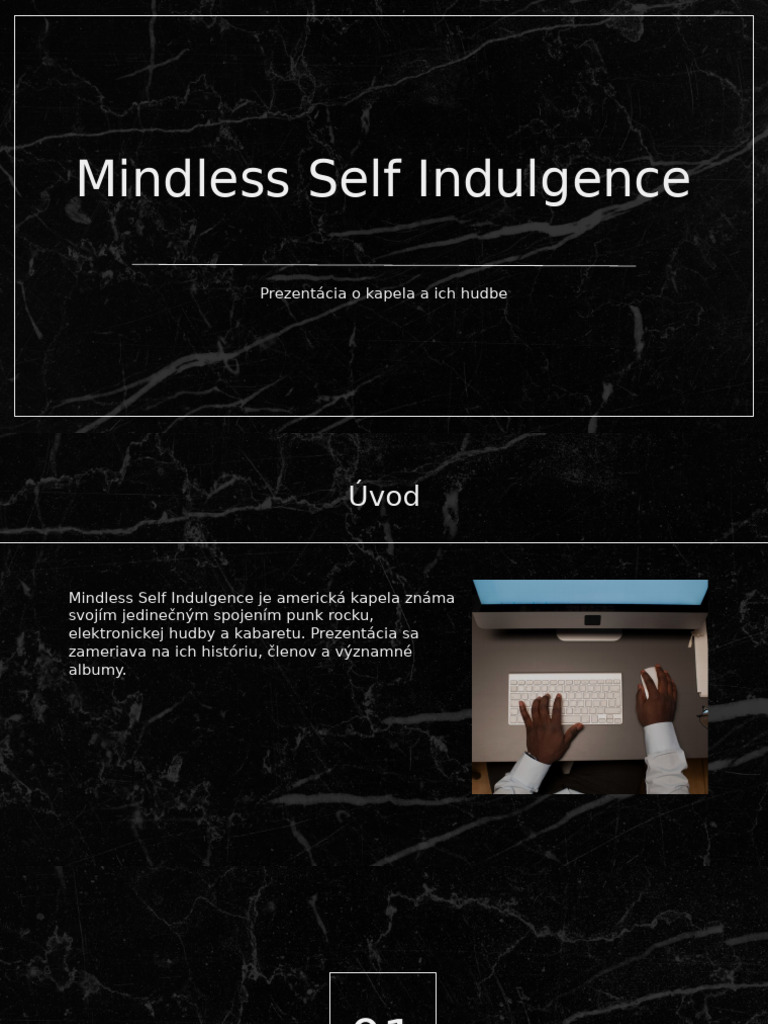 Mindless Self Indulgence | PDF