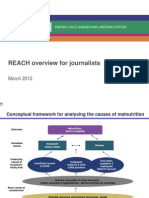 Reach: REACH Overview For Journalists