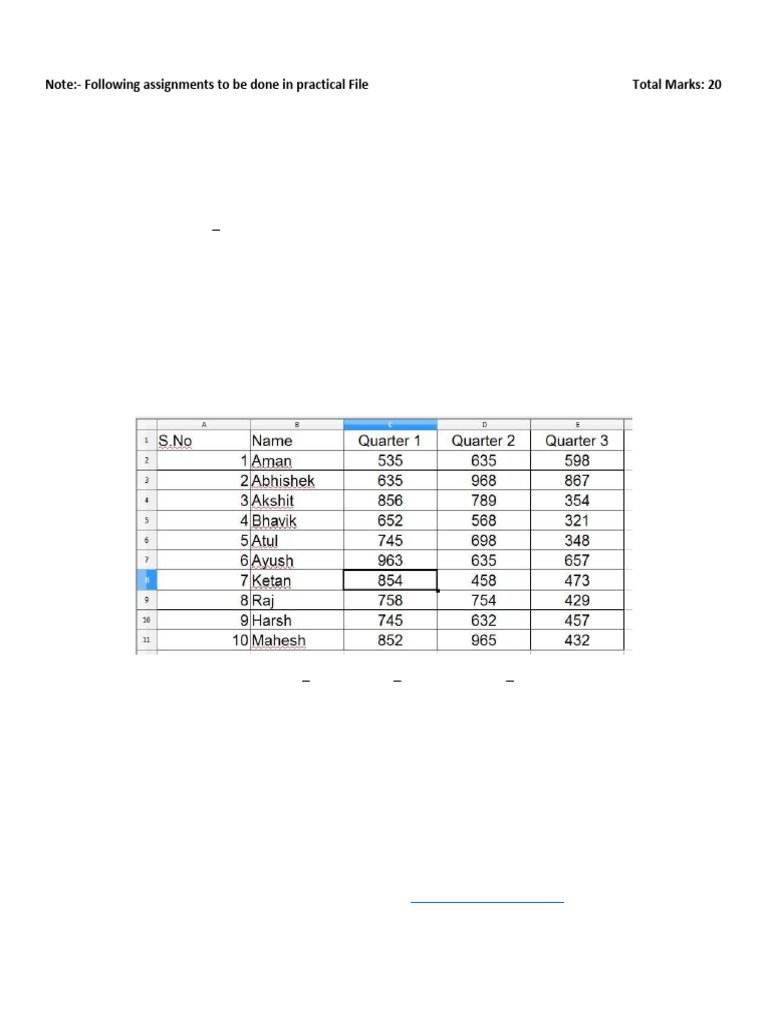 Grade 9 Practical Assignment Guide | PDF