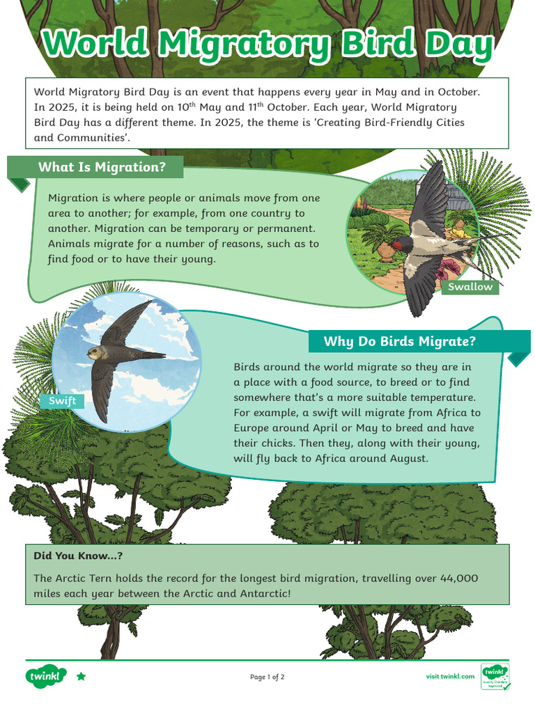 T e 1739886093 Lks2 World Migratory Bird Day Differentiated Reading ...