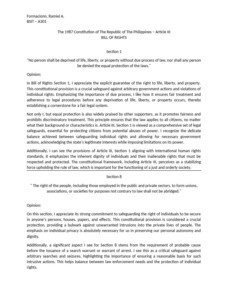 Understanding the Philippine Bill of Rights | PDF | Search And Seizure ...